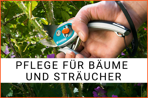 rozcestnik-Pflege-für-Bäume-und-Sträucher